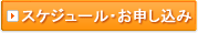 �X�P�W���[���E���\������