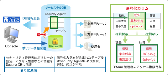 D'Amo 構成イメージ D'Amo 構成イメージ