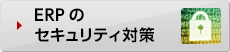 ERPのセキュリティ対策